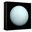 Planet Uranus-null-Framed Premier Image Canvas