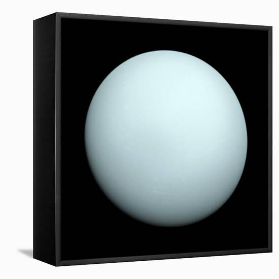 Planet Uranus-null-Framed Premier Image Canvas