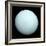 Planet Uranus-null-Framed Photographic Print