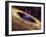 Planetary Disc Around a Pulsar, Artwork-Jpl-caltech-Framed Photographic Print