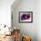 Planetary Formation, Conceptual Artwork-Victor Habbick-Framed Photographic Print displayed on a wall