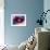 Planetary Formation, Conceptual Artwork-Victor Habbick-Framed Photographic Print displayed on a wall