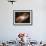 Planetary Nebula Hubble 5-null-Framed Photographic Print displayed on a wall