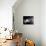 Planets, Moon and Asteroids-null-Photographic Print displayed on a wall