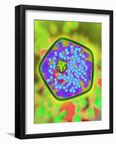 Plant Cell, Artwork-Mehau Kulyk-Framed Photographic Print