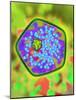 Plant Cell, Artwork-Mehau Kulyk-Mounted Photographic Print