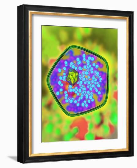 Plant Cell, Artwork-Mehau Kulyk-Framed Photographic Print