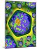 Plant Cells, Artwork-Mehau Kulyk-Mounted Photographic Print