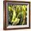 Plant Exploration II-Emily Navas-Framed Photographic Print