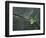 Plant Growing in Cracked Boulder-Micha Pawlitzki-Framed Photographic Print