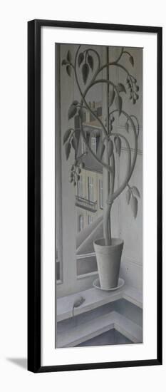 Plant in Window,-Ruth Addinall-Framed Giclee Print