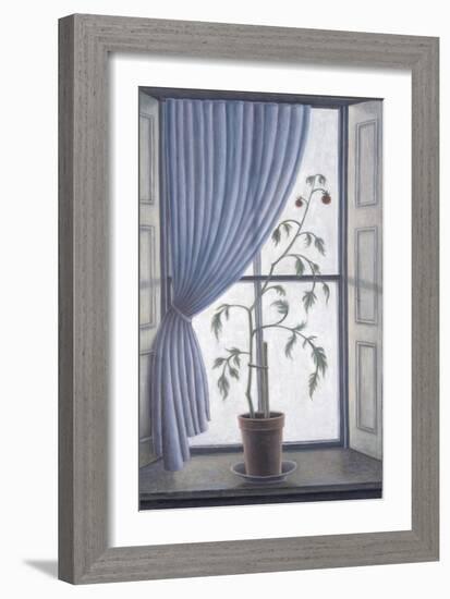 Plant in Window-Ruth Addinall-Framed Giclee Print