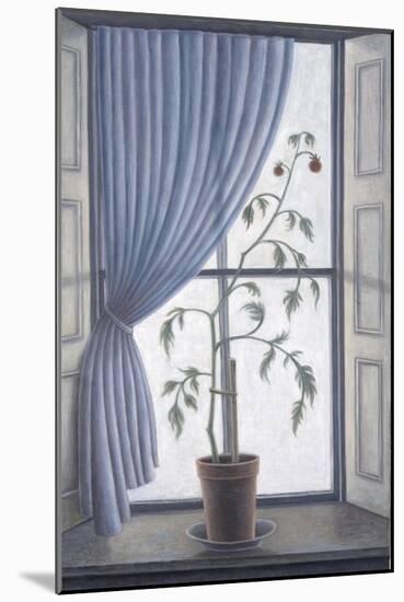 Plant in Window-Ruth Addinall-Mounted Giclee Print