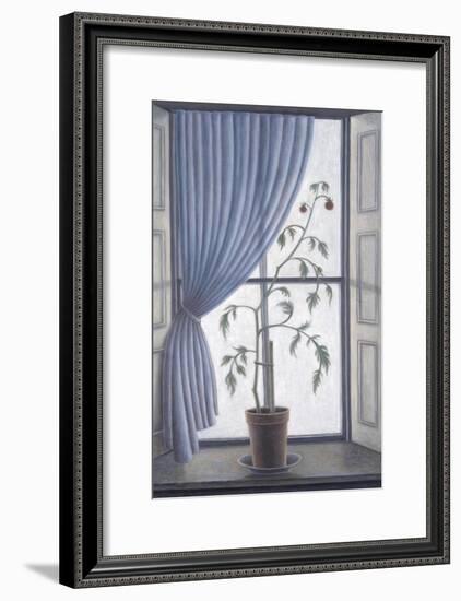 Plant in Window-Ruth Addinall-Framed Giclee Print