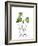 Plant Lady II-Anna Quach-Framed Art Print