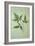 Plant Leaf-Den Reader-Framed Photographic Print