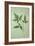 Plant Leaf-Den Reader-Framed Photographic Print