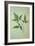 Plant Leaf-Den Reader-Framed Photographic Print