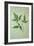 Plant Leaf-Den Reader-Framed Photographic Print