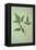 Plant Leaf-Den Reader-Framed Premier Image Canvas