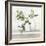 Plant Life II-Julia Purinton-Framed Art Print