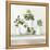 Plant Life III-Julia Purinton-Framed Stretched Canvas