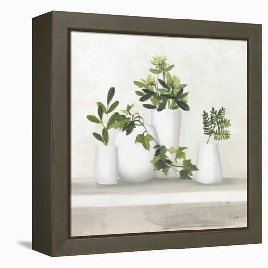 Plant Life III-Julia Purinton-Framed Stretched Canvas