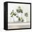 Plant Life III-Julia Purinton-Framed Stretched Canvas