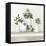 Plant Life III-Julia Purinton-Framed Stretched Canvas