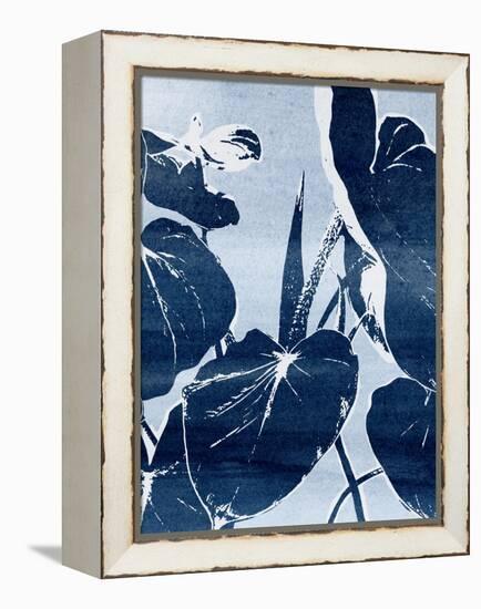 Plant Life III-Annie Warren-Framed Stretched Canvas