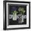 Plant Life-Susan Brown-Framed Giclee Print