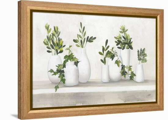 Plant Life-Julia Purinton-Framed Stretched Canvas