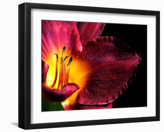 Plant Matches-Philippe Sainte-Laudy-Framed Photographic Print