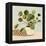 Plant on Stripes I-Victoria Barnes-Framed Stretched Canvas