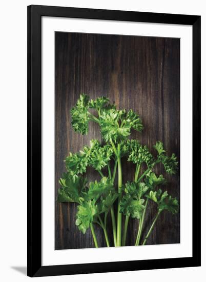 Plant Portrait - Evolution-Irene Suchocki-Framed Giclee Print