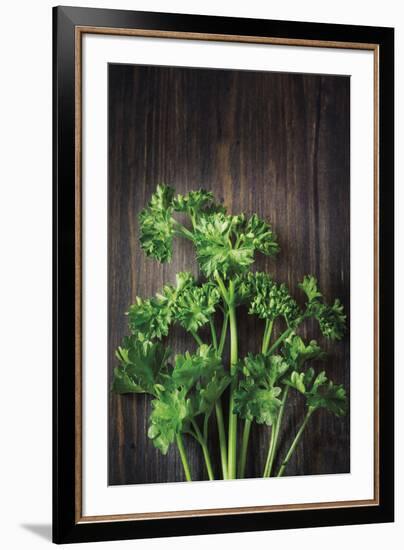 Plant Portrait - Evolution-Irene Suchocki-Framed Giclee Print