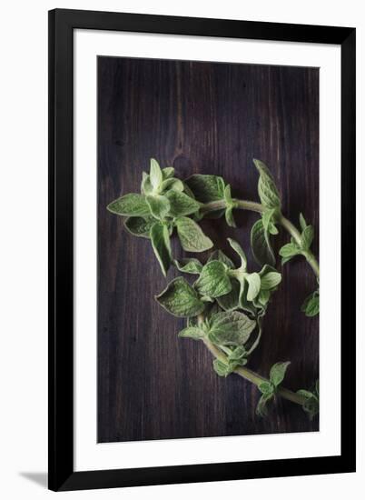 Plant Portrait - Prosper-Irene Suchocki-Framed Giclee Print