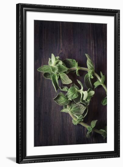 Plant Portrait - Prosper-Irene Suchocki-Framed Giclee Print