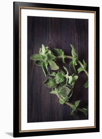 Plant Portrait - Prosper-Irene Suchocki-Framed Giclee Print