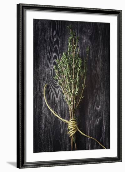 Plant Portrait - Sentience-Irene Suchocki-Framed Giclee Print