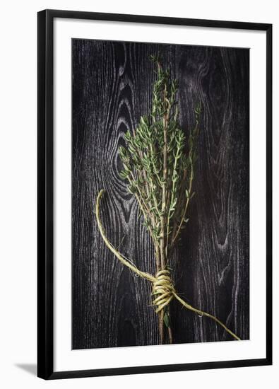 Plant Portrait - Sentience-Irene Suchocki-Framed Giclee Print