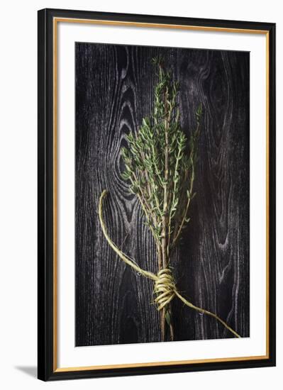 Plant Portrait - Sentience-Irene Suchocki-Framed Giclee Print