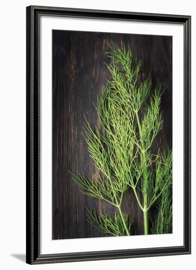 Plant Portrait - Thrive-Irene Suchocki-Framed Giclee Print