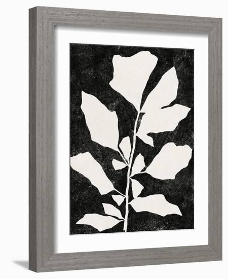 Plant Portrayal - Fishtail Palm-Kristine Hegre-Framed Giclee Print