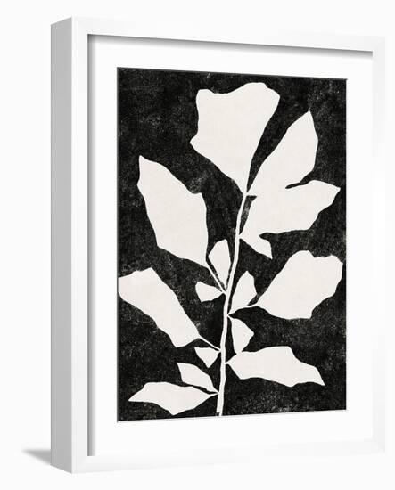 Plant Portrayal - Fishtail Palm-Kristine Hegre-Framed Giclee Print