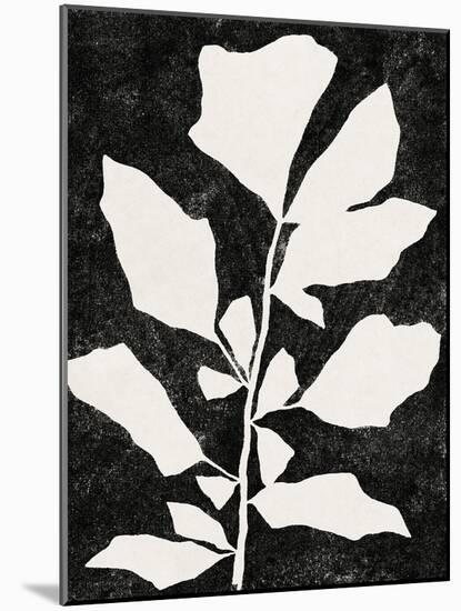 Plant Portrayal - Fishtail Palm-Kristine Hegre-Mounted Giclee Print