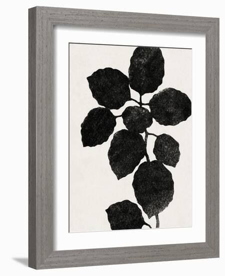 Plant Portrayal - Oregano-Kristine Hegre-Framed Giclee Print