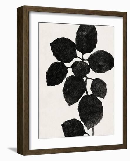 Plant Portrayal - Oregano-Kristine Hegre-Framed Giclee Print