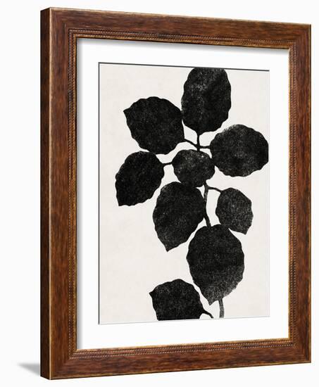 Plant Portrayal - Oregano-Kristine Hegre-Framed Giclee Print