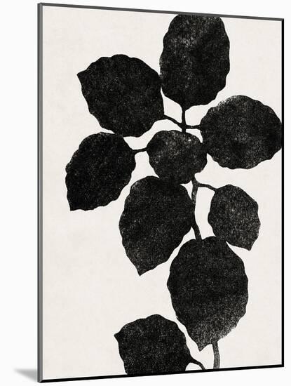 Plant Portrayal - Oregano-Kristine Hegre-Mounted Giclee Print